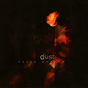 Dust